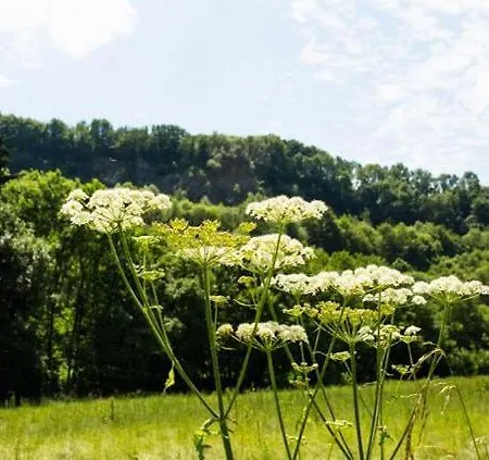 Holiday home L'ancienne Grange