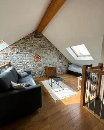 L'ancienne Grange Dom wakacyjny Haut-le-Wastia